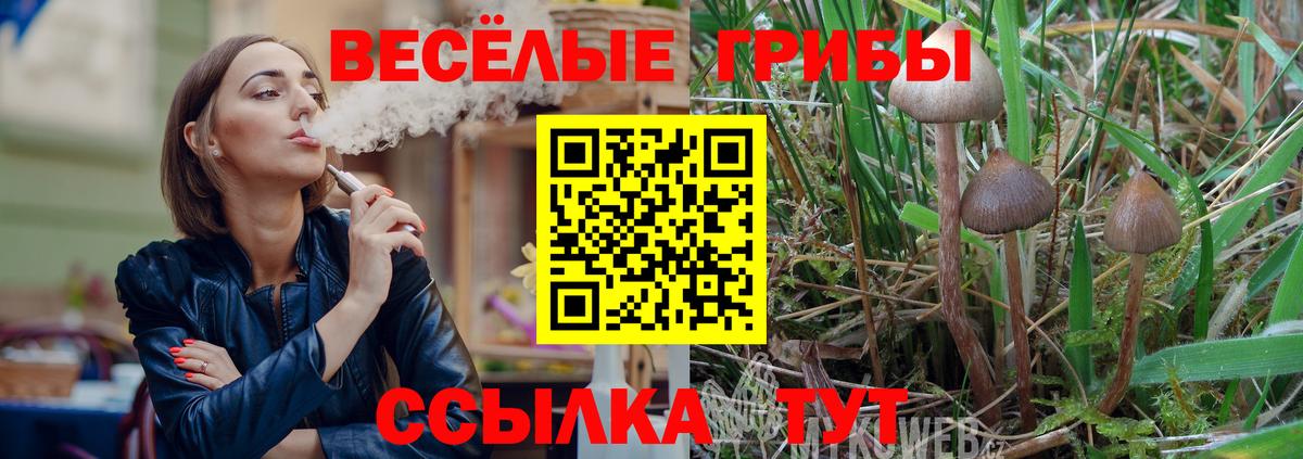 Галлюциногенные грибы Psilocybine cubensis Лесозаводск