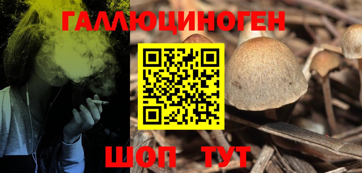 Галлюциногенные грибы мухоморы  Вход с VPN  Лесозаводск 